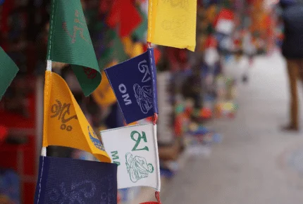 Dharamshala Dalhousie Volvo